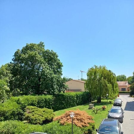 Da Francesco Apartman Pisa Kültér fotó